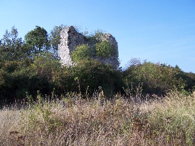 Ruine der Paulskopfwarte im Huy